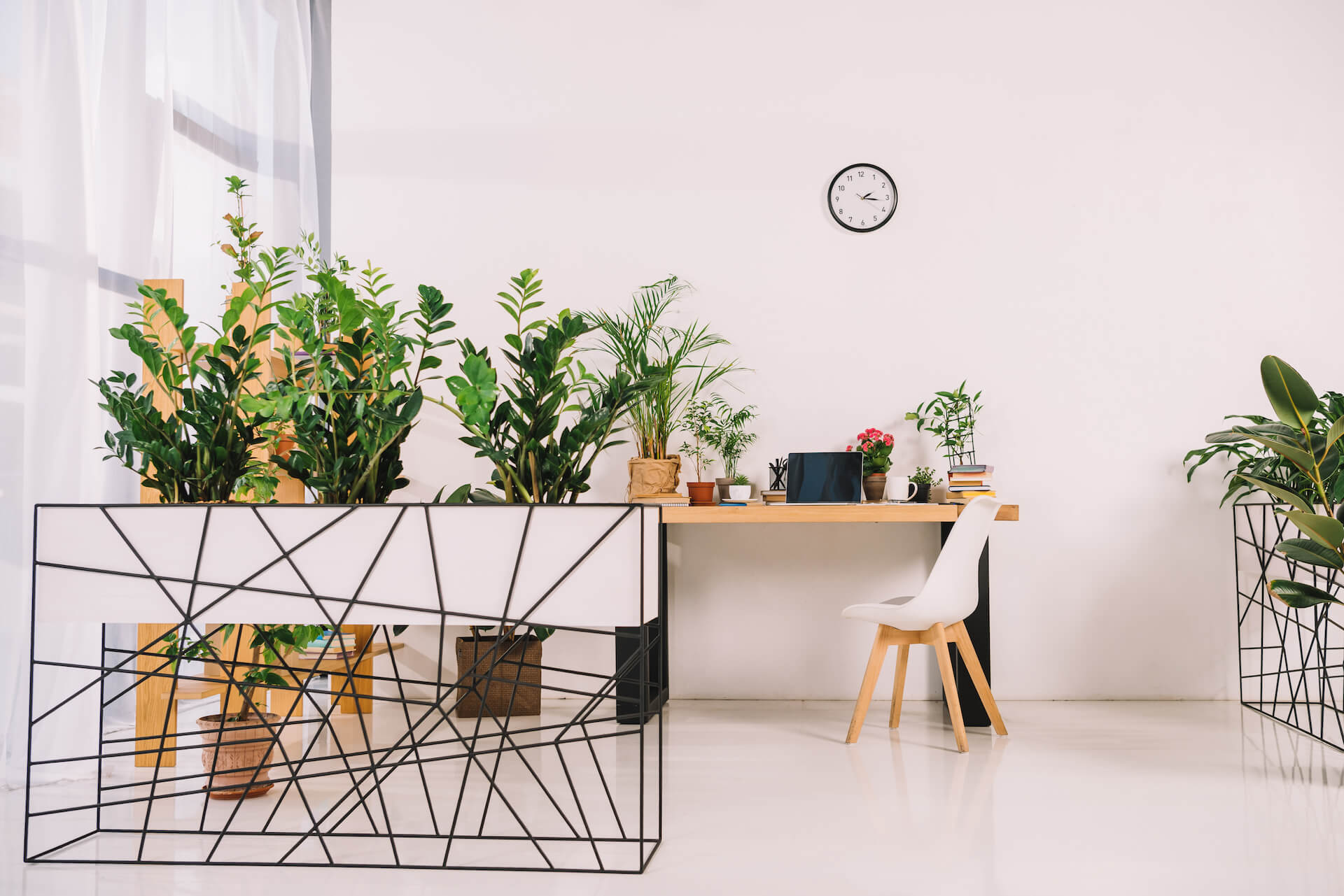 interior-of-business-office-with-green-potted-plan-2021-08-30-19-34-03-utc.jpg